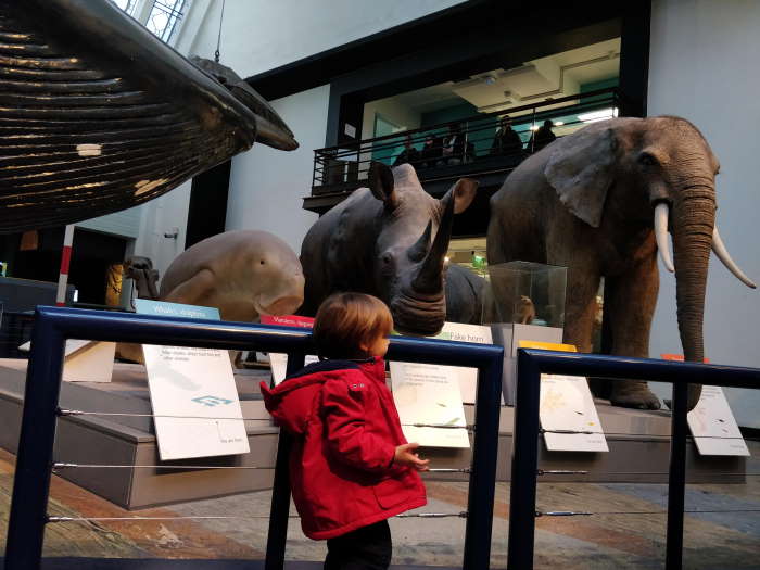 Natural History Museum with kids