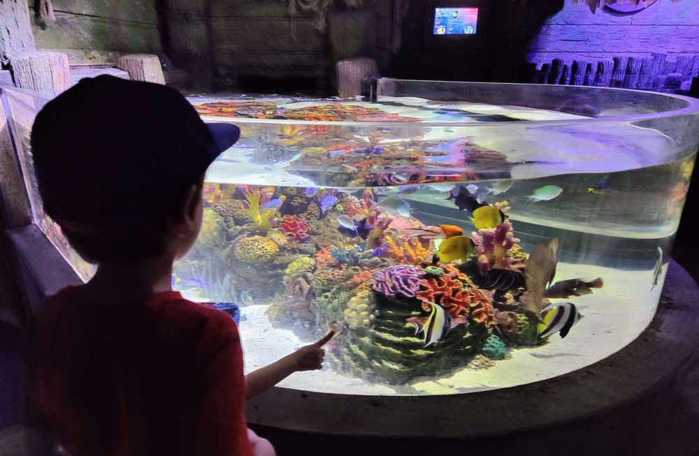 sea life aquarium London with kids